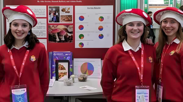 Tres alumnas de la Sacred Heart Secondary School Clonakilty con uniformes rojos y gorros navideños están frente a un panel informativo.