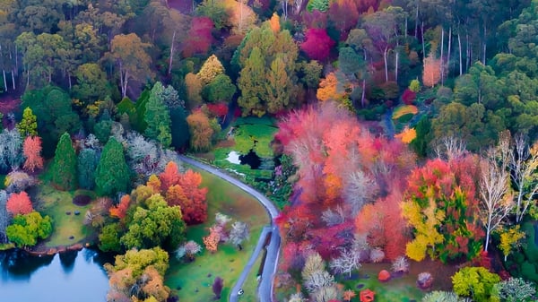 Una carretera sinuosa atraviesa un bosque otoñal con árboles coloridos y un cuerpo de agua tranquilo cerca de la Salisbury East High School.