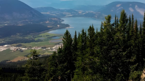 Un paisaje forestal verde con un lago y montañas al fondo cerca de la Salmon Arm Secondary.