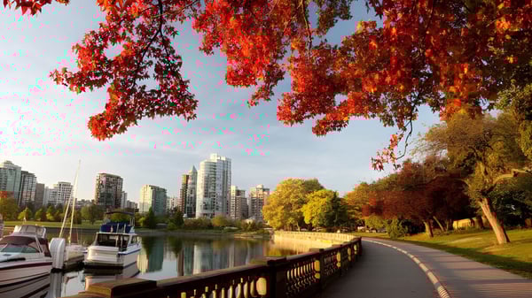 Un tranquilo camino de agua con coloridas hojas de otoño a lo largo de la orilla cerca de la Saunders Secondary School.