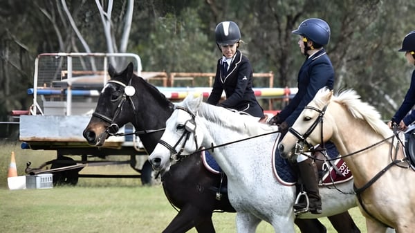 Dos jinetes en un caballo negro y uno blanco en el terreno del Scots PGC College.