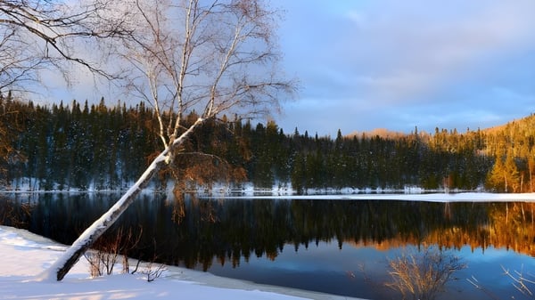 Un tranquilo paisaje invernal con lago y montañas en el terreno de Shaftesbury High.