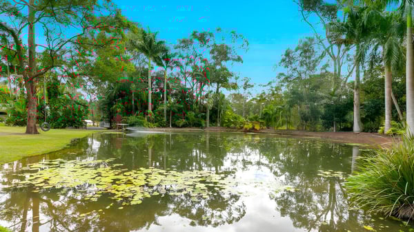 Un estanque tranquilo con árboles y vegetación se refleja en las aguas del terreno del Sheldon College.