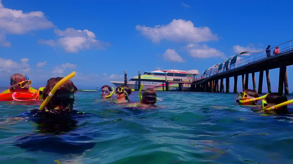 Algunas personas nadan en el agua clara junto a un muelle colorido en la Smithfield State High School.