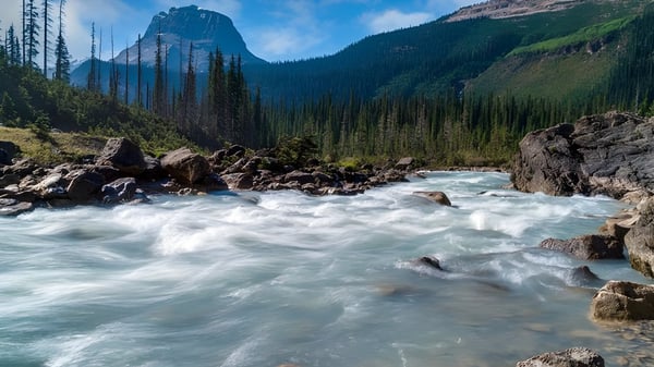 Un arroyo de montaña fluye a través de un paisaje boscoso con altas cumbres al fondo cerca de la Souris Regional School.