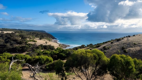 Un paisaje costero verde con costa rocosa y un amplio océano bajo un cielo nublado cerca del Southern River College.