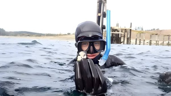 Una persona con equipo de buceo nada cerca de un muelle en el terreno de la Spring Street International School.