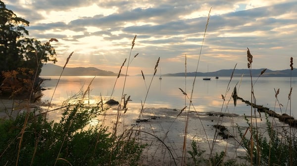 Un tranquilo lago con hierba alta y cielo nublado cerca de la Springfield Central State High School.