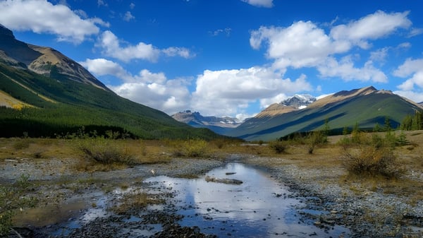 Un tranquilo paisaje montañoso con un arroyo serpenteante y vegetación exuberante bajo un cielo azul.