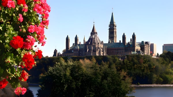 Un majestuoso castillo con torres y picos se eleva detrás de flores rojas en el terreno de la St. Matthew High School.