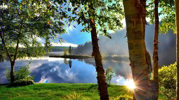 Un lago tranquilo con árboles verdes en el terreno de la St. Patrick’s High School en Québec City.