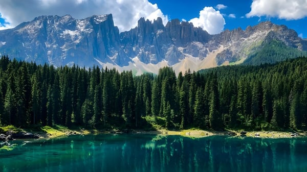 Un lago de montaña color turquesa con cumbres nevadas y un bosque perenne en primer plano.