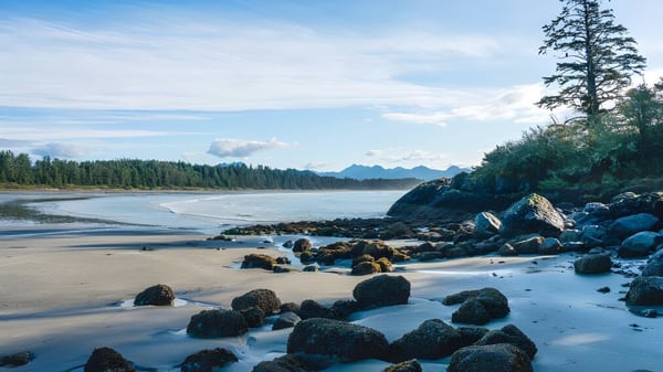 Paisaje costero rocoso con bosques siempre verdes y montañas cubiertas de nieve bajo un cielo nublado.