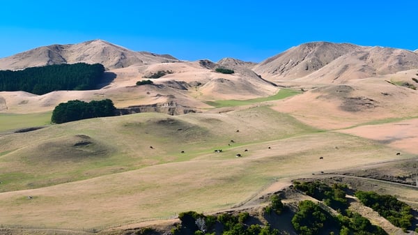 Un paisaje montañoso con colinas cubiertas de hierba y árboles dispersos bajo un cielo despejado en el terreno de la Taradale High School.