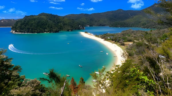 Vista de una playa tropical con agua turquesa clara cerca de la Te Puke High School.