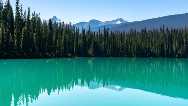 Un lago de montaña color turquesa con un bosque de coníferas y picos nevados al fondo bajo un cielo azul claro.