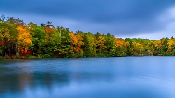 Un lago tranquilo rodeado de un bosque otoñal con hojas coloridas ante el fondo del cielo azul.