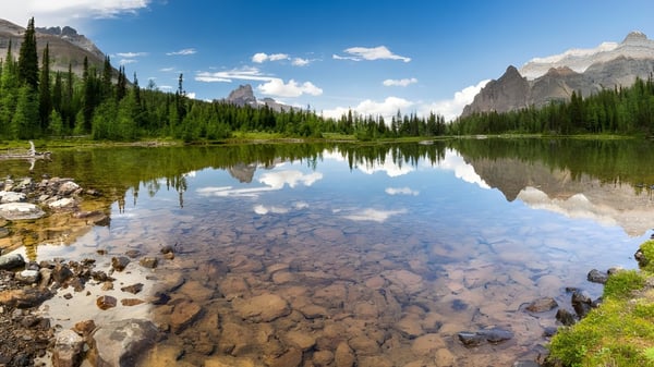 Un tranquilo lago de montaña rodeado de bosques perennes y cumbres nevadas bajo un cielo azul.