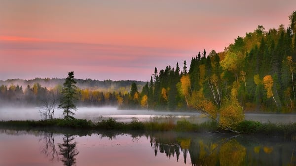Un lago tranquilo con colorido otoñal y un bosque envuelto en niebla se puede ver en los alrededores del Vankleek Hill Collegiate Institute.