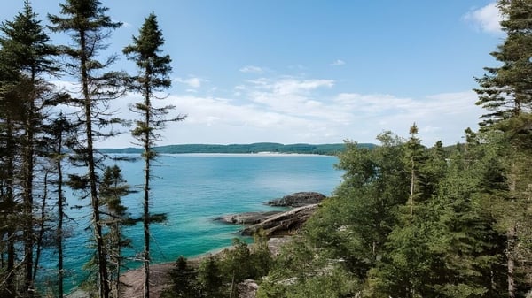 Vista de un lago con bosque circundante y montañas al fondo en la Vineridge Academy.