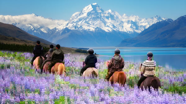 Estudiantes de Wakatipu High School montan a caballo a través de un campo con lupinos violetas frente a montañas cubiertas de nieve.