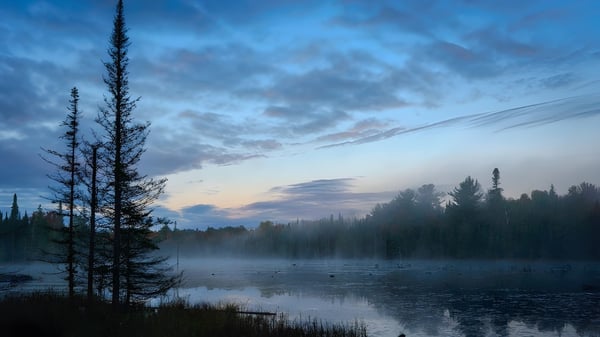 Un lago tranquilo rodeado de densa vegetación bajo un dramático cielo de atardecer en la Wallaceburg District High School.