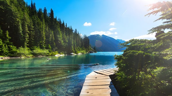 Un lago tranquilo con un muelle y bosques perennes circundantes cerca de la Wellington Secondary School.
