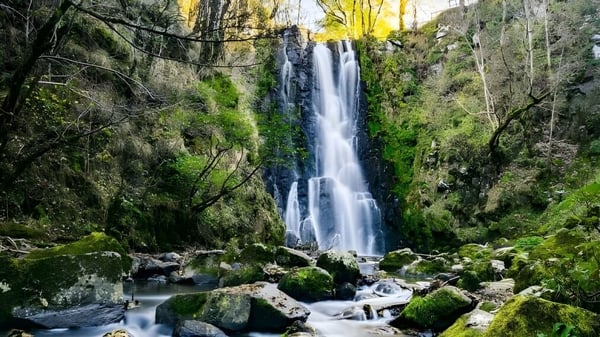 Una cascada fluye sobre formaciones rocosas cubiertas de musgo en un bosque cerca de la West Ferris School.