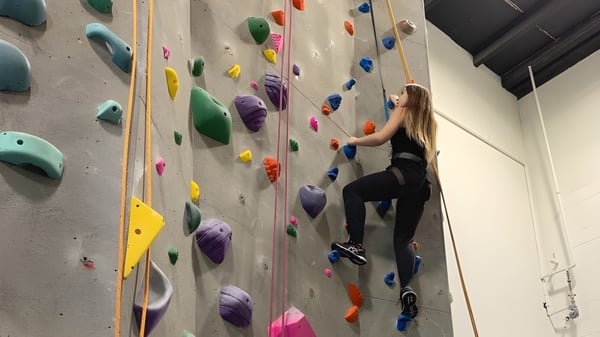 Un estudiante de la West Vancouver Secondary está escalando en una colorida pared de escalada en el gimnasio.