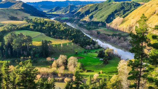 Vista de un valle verde con un río y un asentamiento al fondo cerca del Whanganui City College.