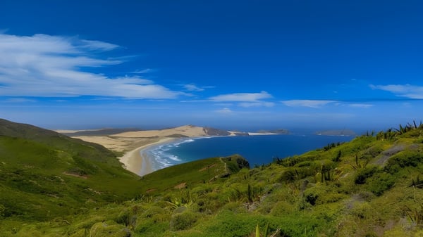 Colinas verdes y una playa de arena en la costa cerca de Whangaparāoa College bajo un cielo azul.