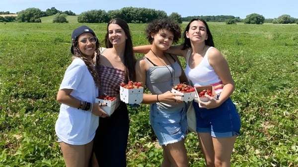 Cuatro alumnas de la William Academy están en un campo sosteniendo canastas con fresas frescas.