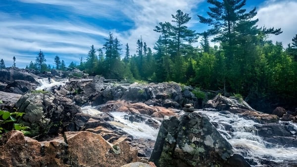 Un paisaje rocoso con una cascada y árboles perennes en el terreno del Woodbridge College.